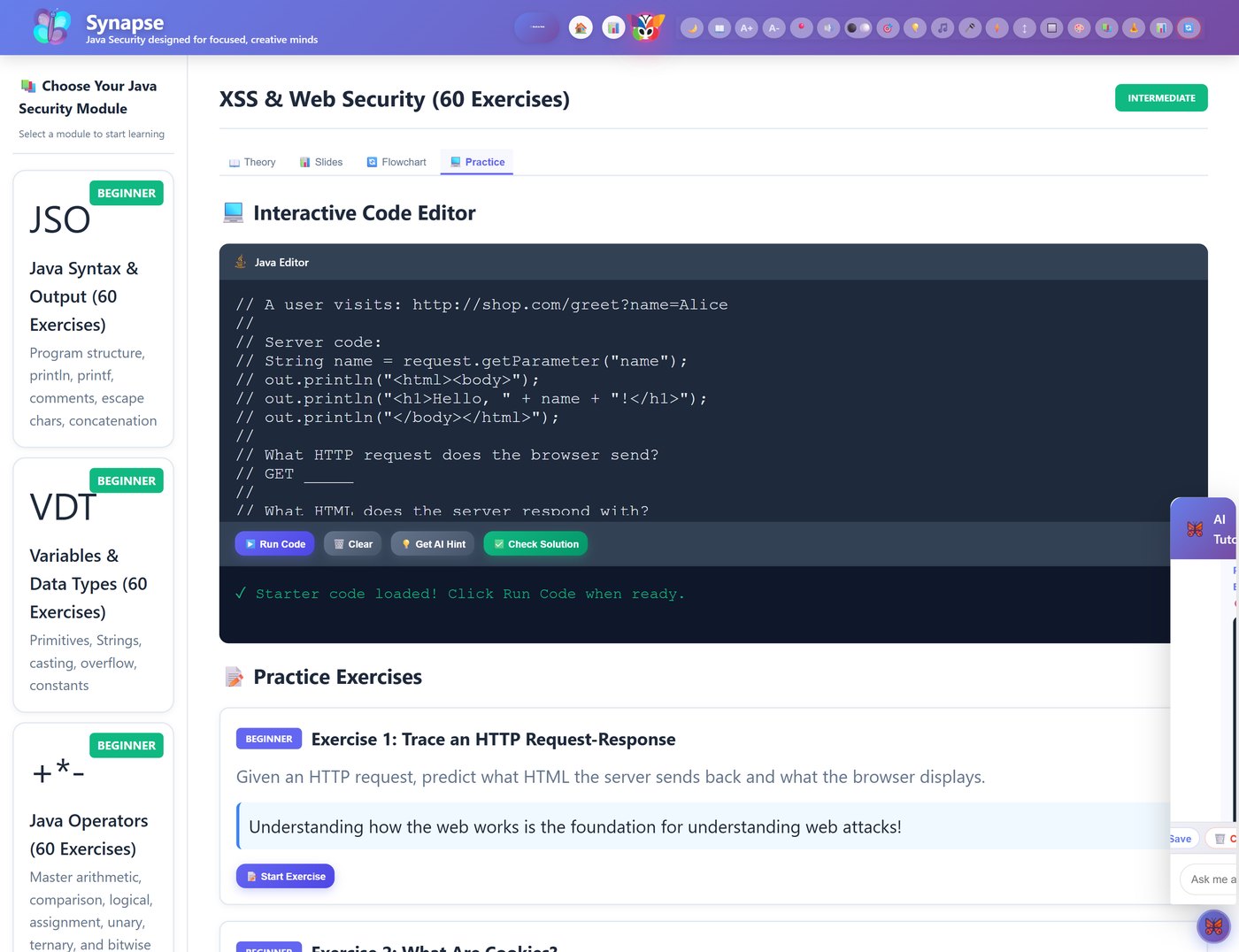 SYNAPSE interactive Java security editor